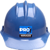 PRO Services
